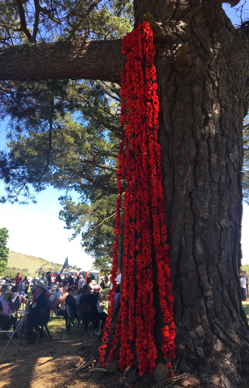 Installation of knitted and crocheted poppies hanging in a tall tree
